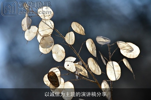 以诚信为主题的演讲稿分享