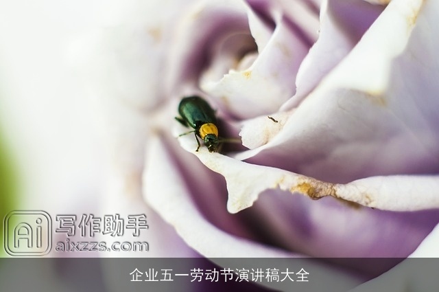 企业五一劳动节演讲稿大全