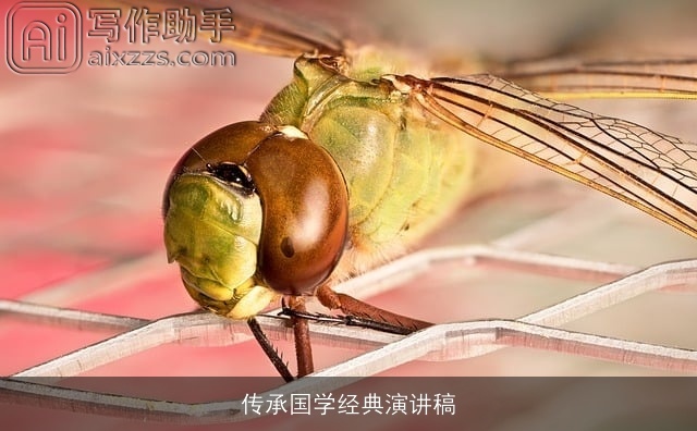 传承国学经典演讲稿