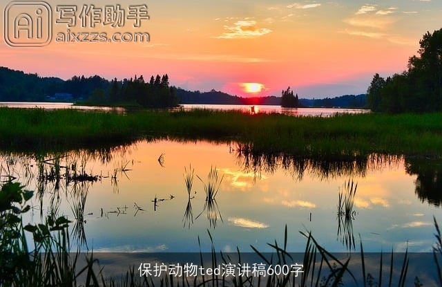 保护动物ted演讲稿600字