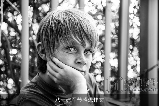 八一建军节感想作文
