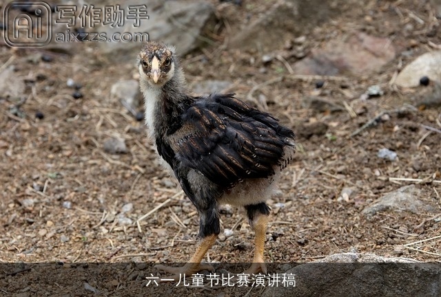 六一儿童节比赛演讲稿