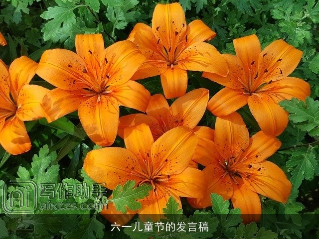 六一儿童节的发言稿