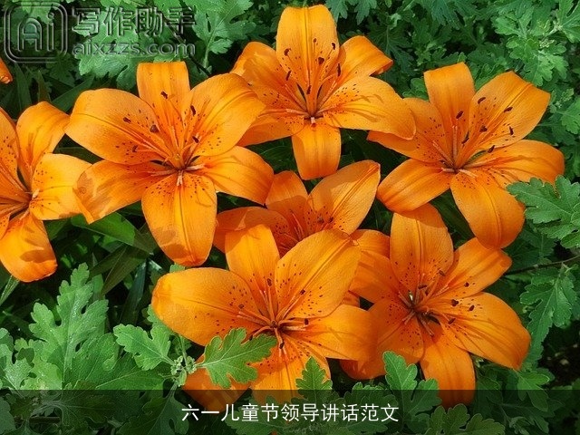 六一儿童节领导讲话范文