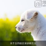 关于五四励志演讲稿范文