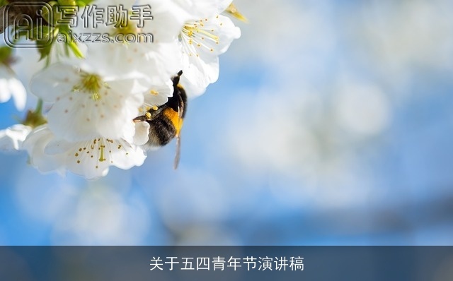 关于五四青年节演讲稿