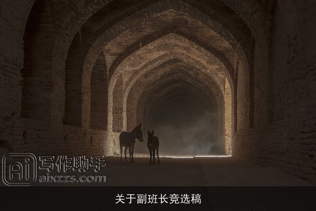 关于副班长竞选稿