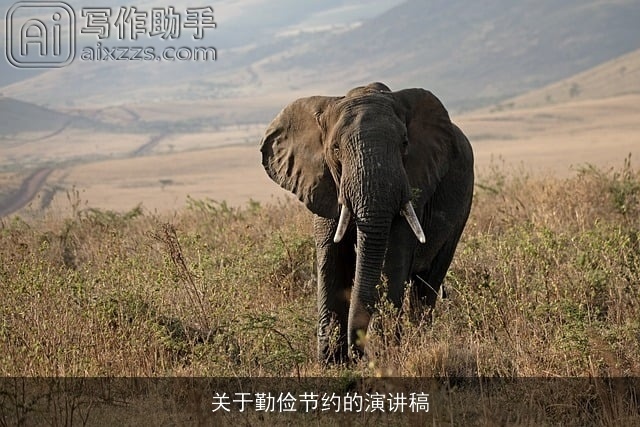 关于勤俭节约的演讲稿