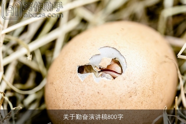 关于勤奋演讲稿800字