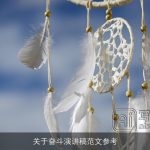 关于奋斗演讲稿范文参考