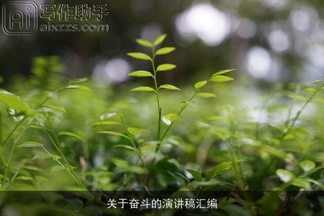 关于奋斗的演讲稿汇编