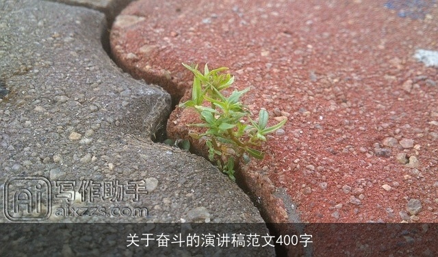 关于奋斗的演讲稿范文400字