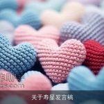 关于寿星发言稿