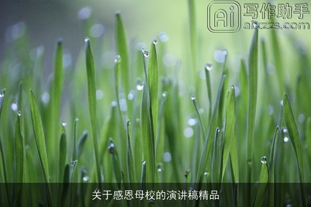 关于感恩母校的演讲稿精品