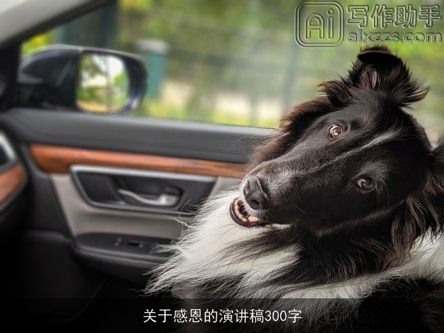 关于感恩的演讲稿300字