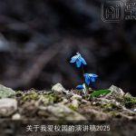 关于我爱校园的演讲稿2025