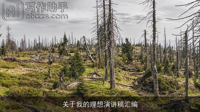 关于我的理想演讲稿汇编