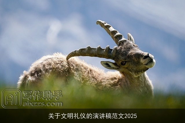 关于文明礼仪的演讲稿范文2025