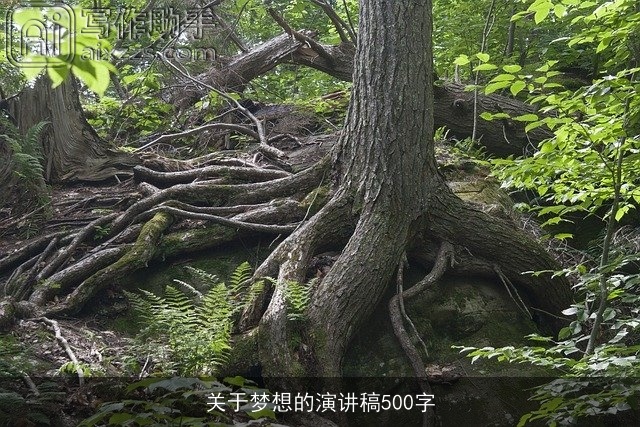 关于梦想的演讲稿500字