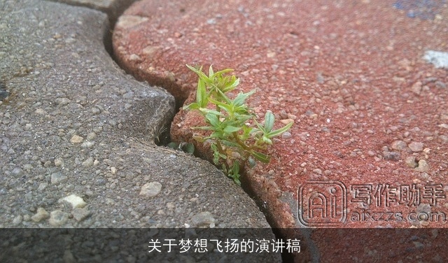 关于梦想飞扬的演讲稿