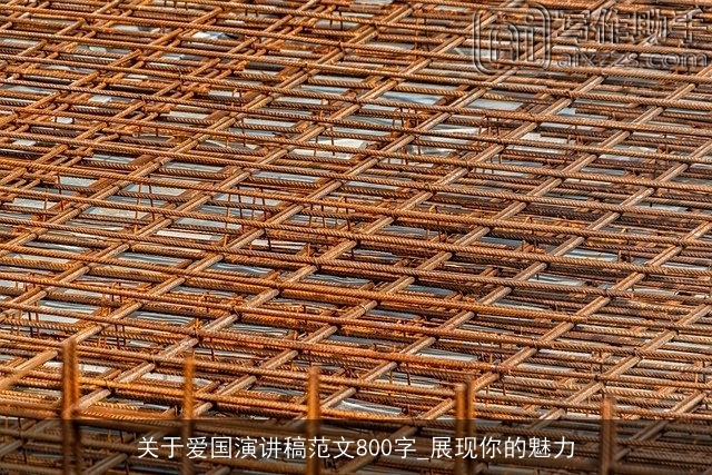 关于爱国演讲稿范文800字_展现你的魅力