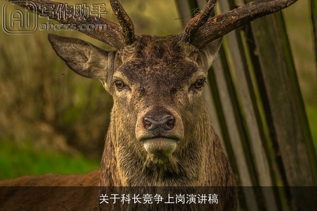 关于科长竞争上岗演讲稿