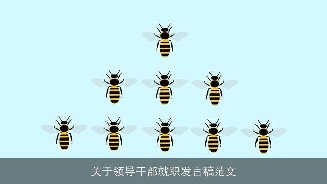 关于领导干部就职发言稿范文