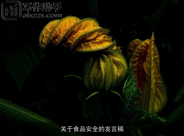 关于食品安全的发言稿