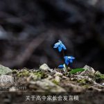 关于高中家长会发言稿