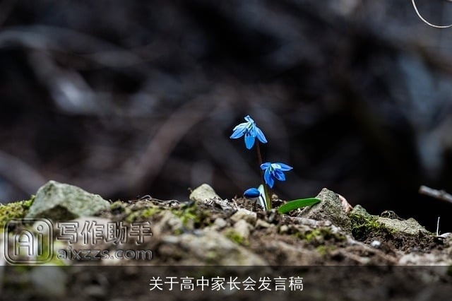 关于高中家长会发言稿