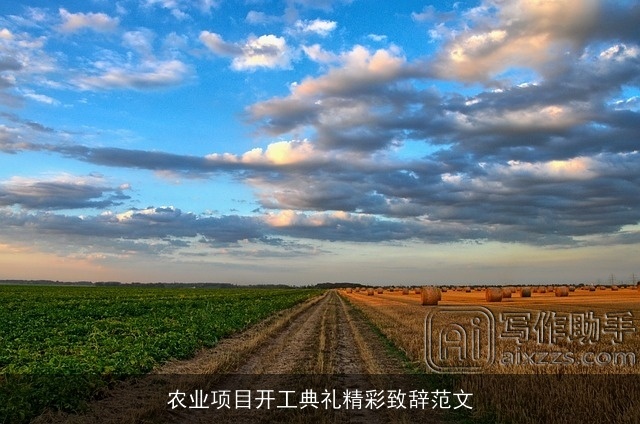 农业项目开工典礼精彩致辞范文