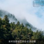 农村信用社工作会议讲话稿