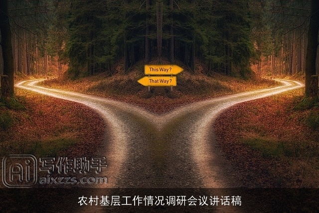 农村基层工作情况调研会议讲话稿