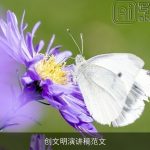 创文明演讲稿范文