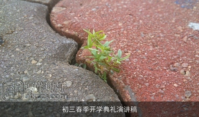 初三春季开学典礼演讲稿