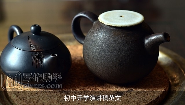 初中开学演讲稿范文