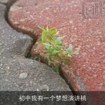 初中我有一个梦想演讲稿