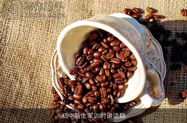 初中新生军训时讲话稿
