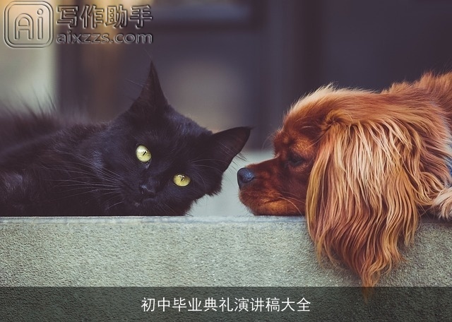 初中毕业典礼演讲稿大全