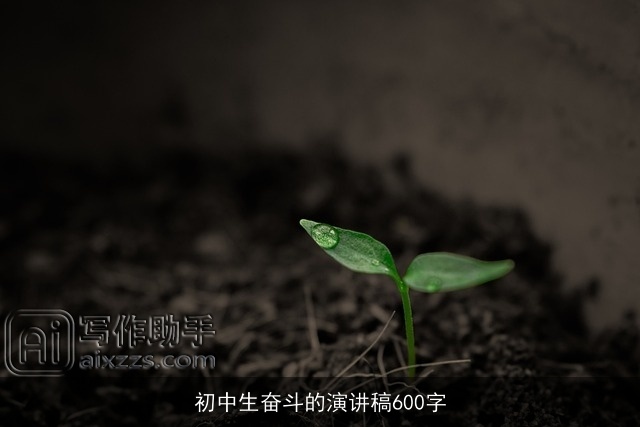 初中生奋斗的演讲稿600字