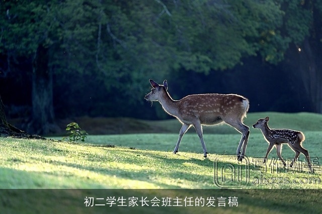 初二学生家长会班主任的发言稿