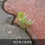 励志奋斗演讲稿