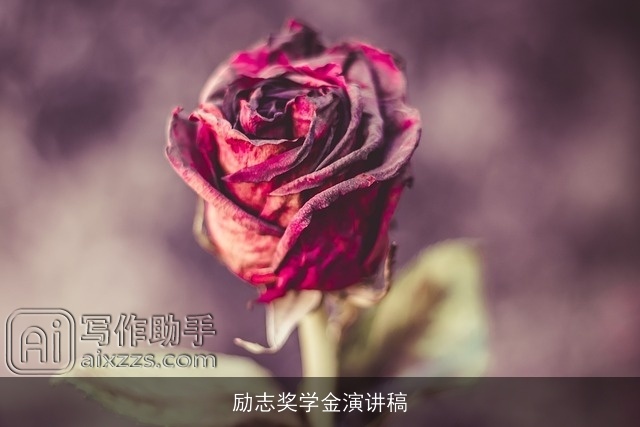 励志奖学金演讲稿