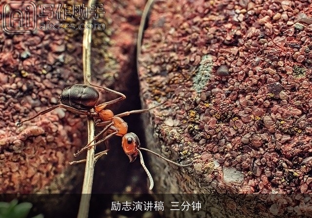 励志演讲稿 三分钟