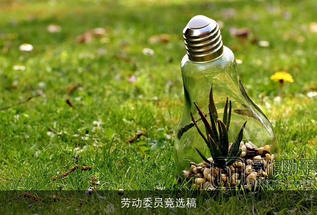 劳动委员竞选稿