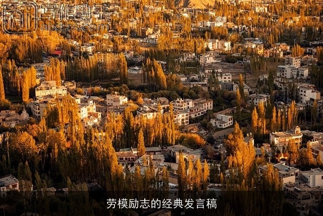 劳模励志的经典发言稿