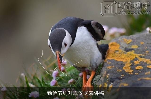 勤俭节约升旗仪式演讲稿