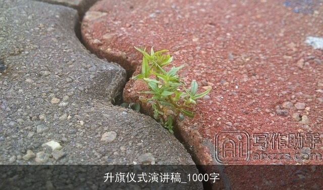 升旗仪式演讲稿_1000字