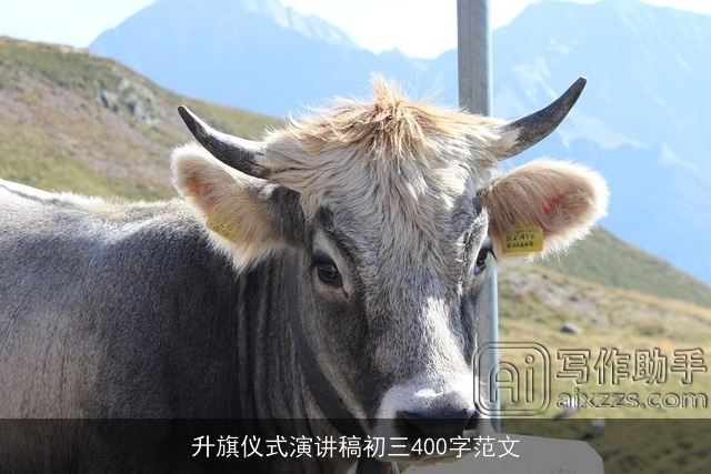 升旗仪式演讲稿初三400字范文