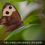 只要心中有爱之师生演讲范文_师生演讲稿
